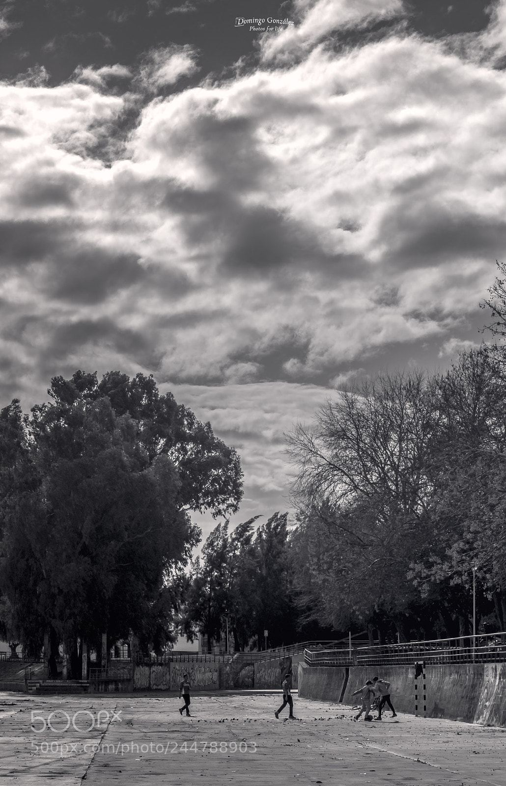 Nikon D500 sample photo. Juegos en el canal photography