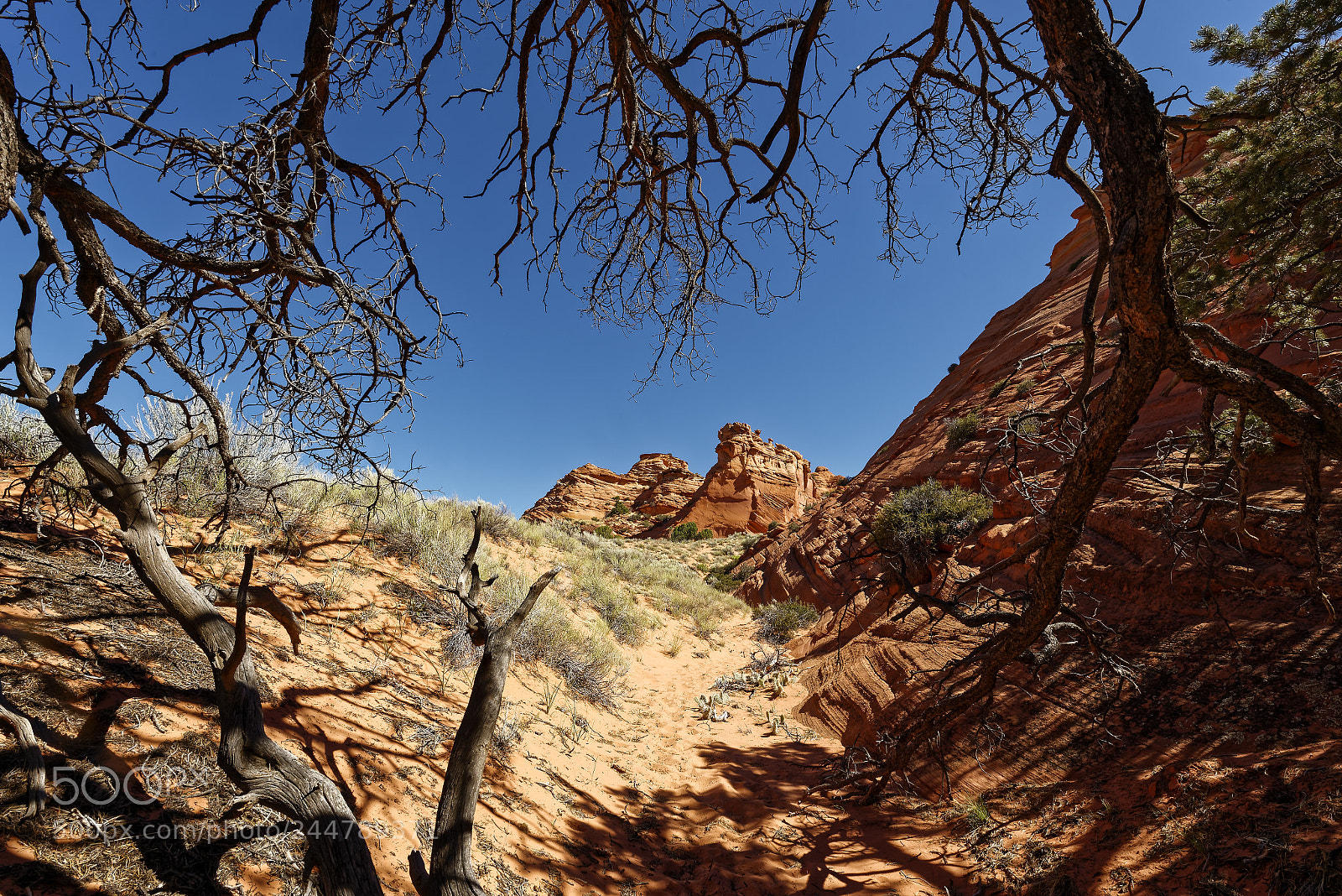 Nikon D800 sample photo. Paw hole wilderness photography