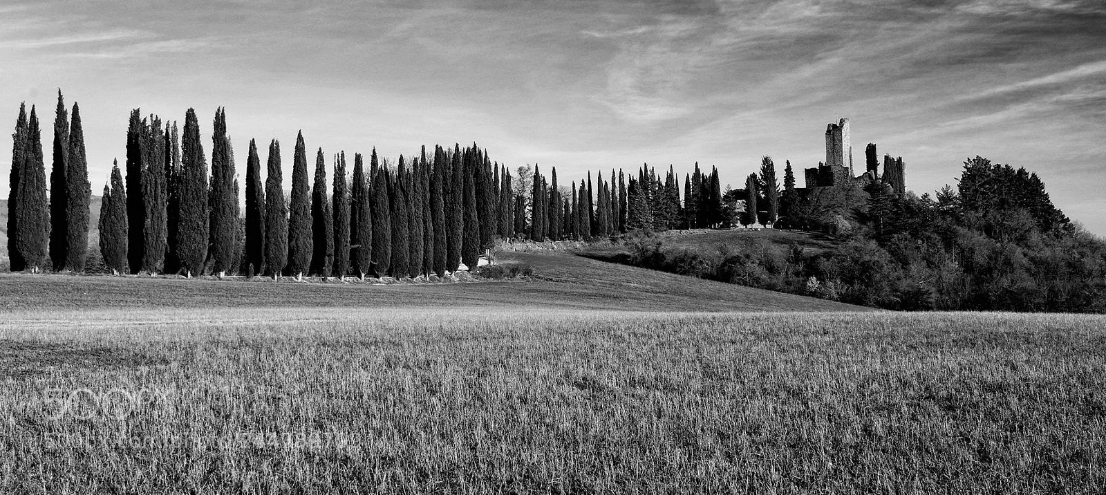 Fujifilm X-M1 sample photo. The cypresses and the photography