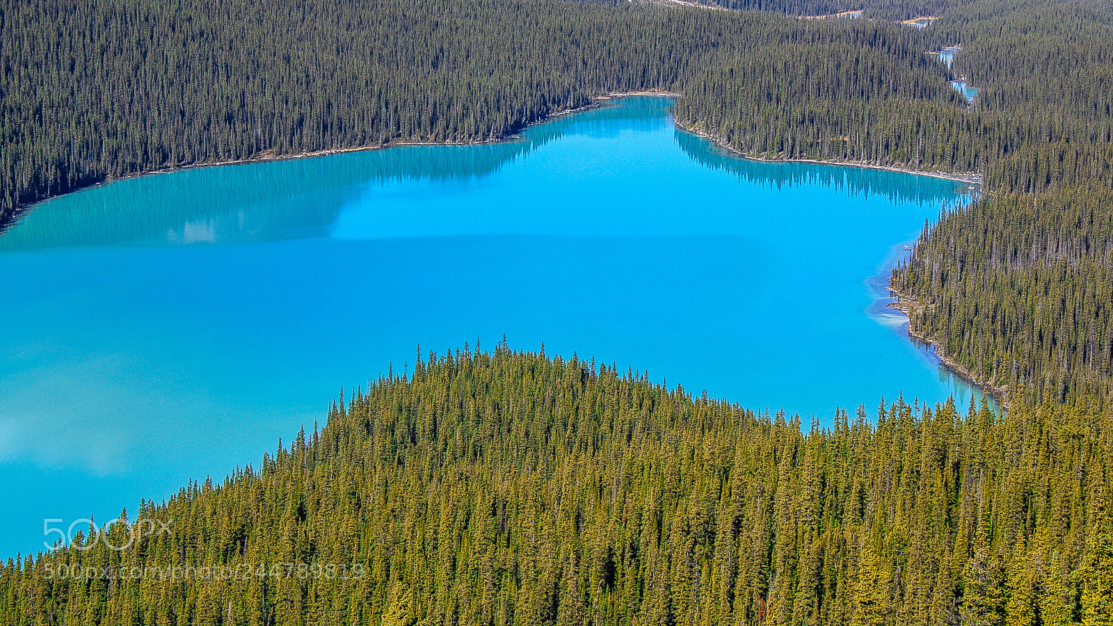 Canon EOS 450D (EOS Rebel XSi / EOS Kiss X2) sample photo. Unreal peyto lake photography
