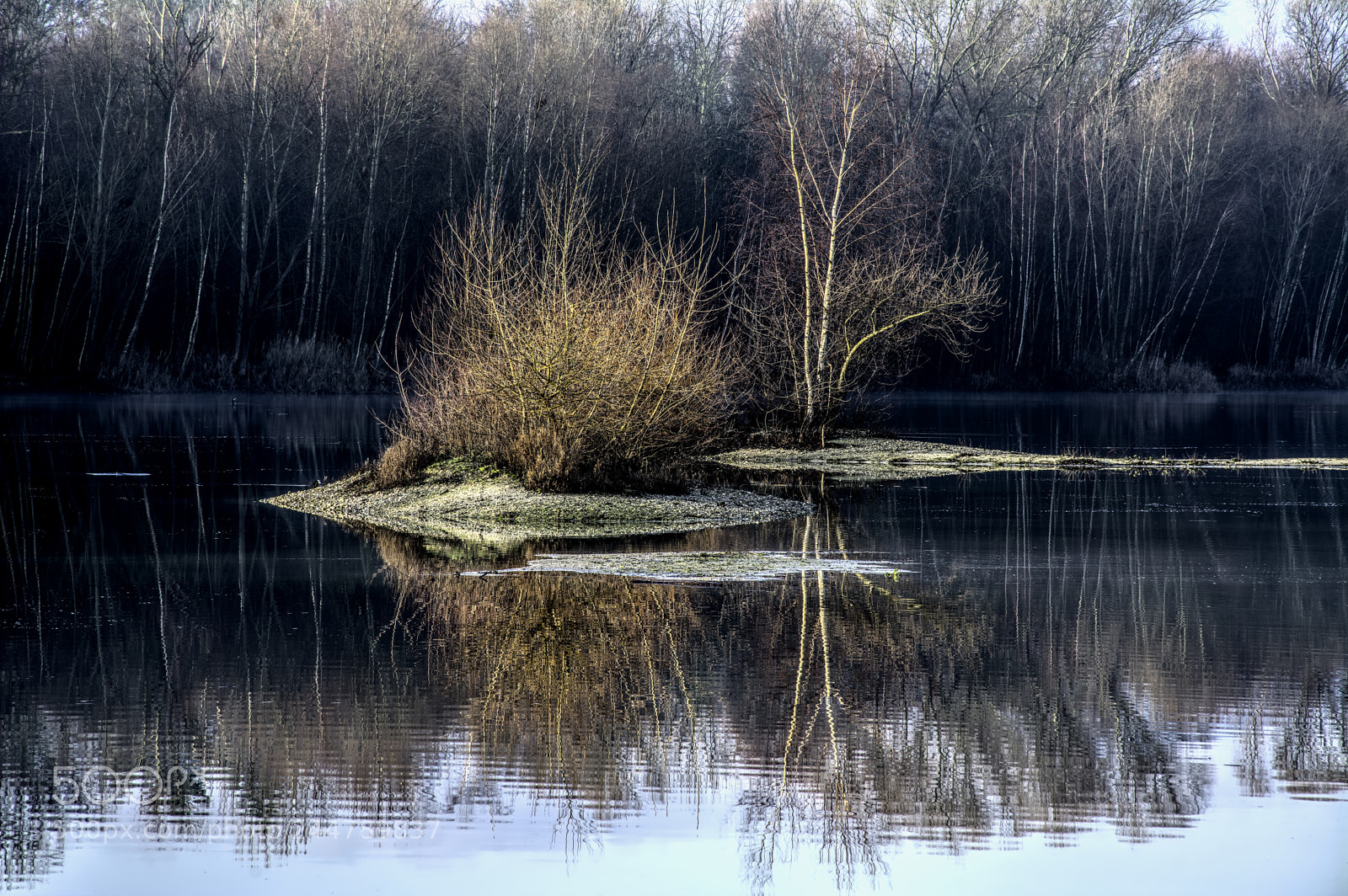 Nikon D7100 sample photo. Pond20 photography