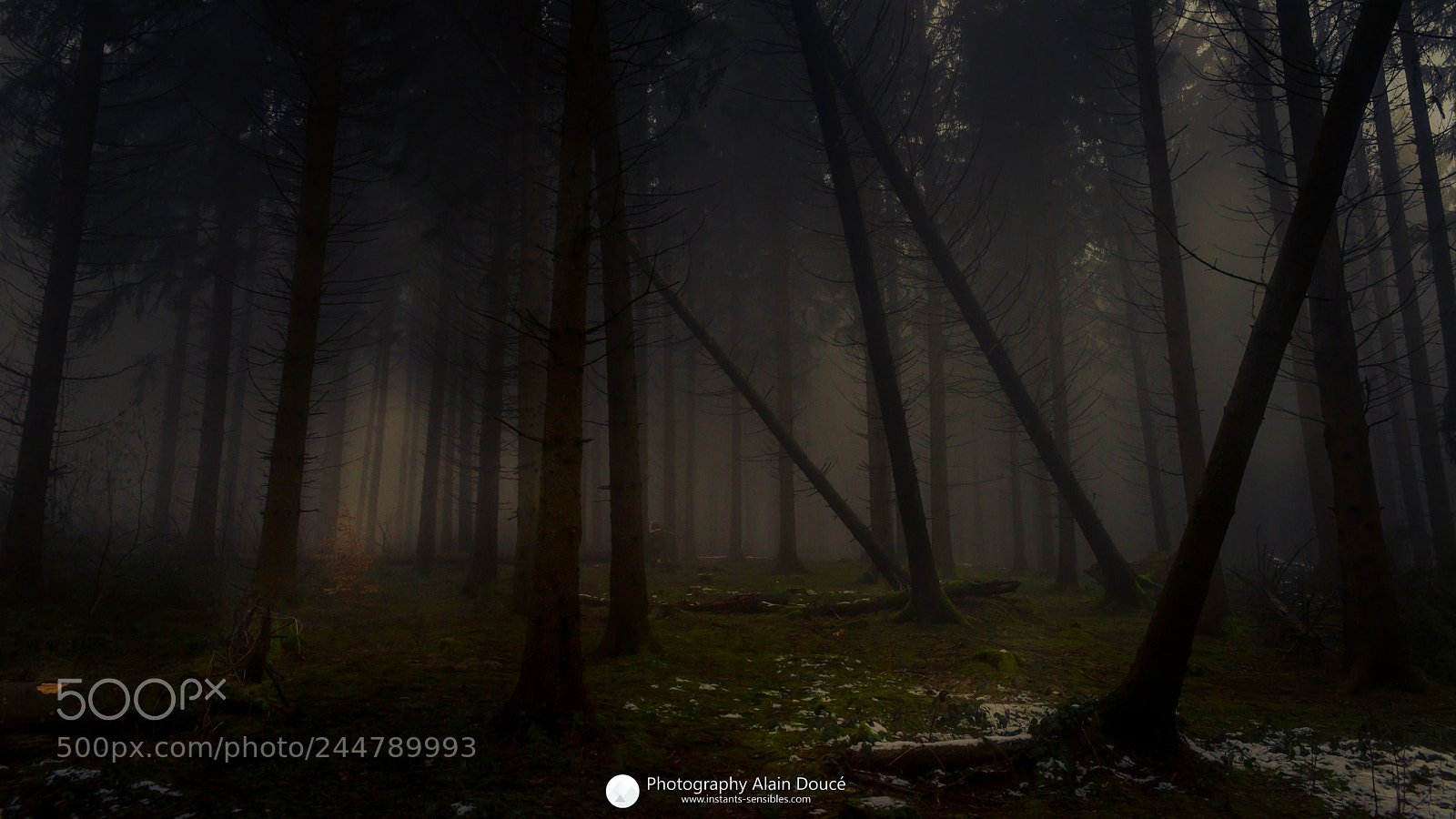 Nikon D610 sample photo. For t magique photo photography