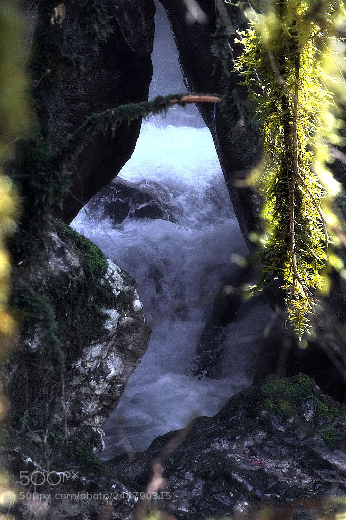Sony ILCA-77M2 sample photo. Window on the creek photography