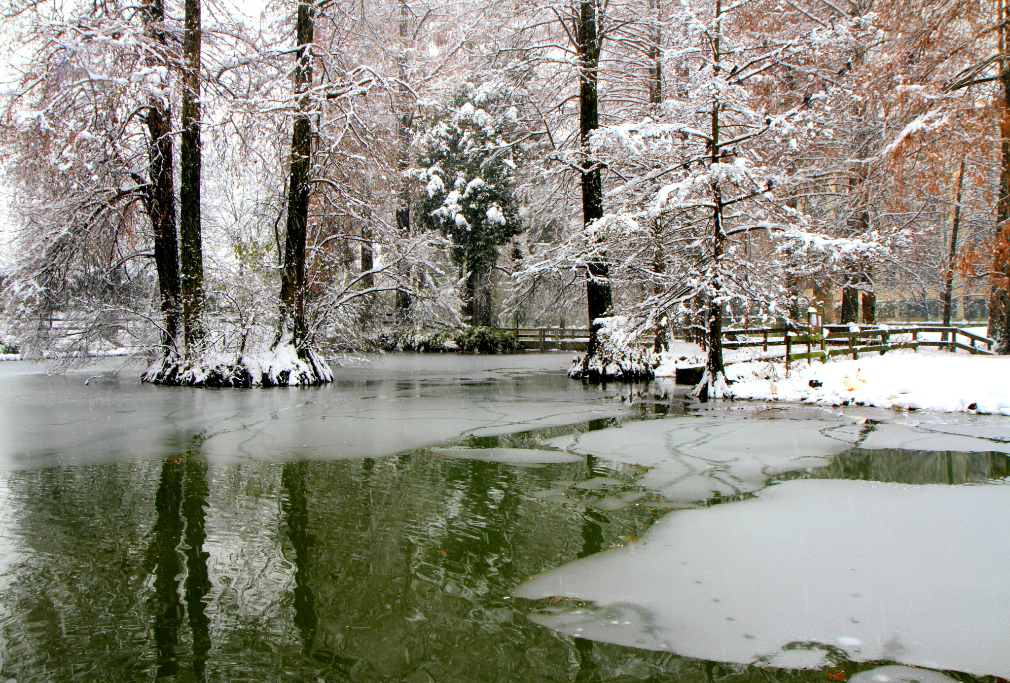 Canon EOS 7D + Canon EF-S 17-55mm F2.8 IS USM sample photo. A winter day photography