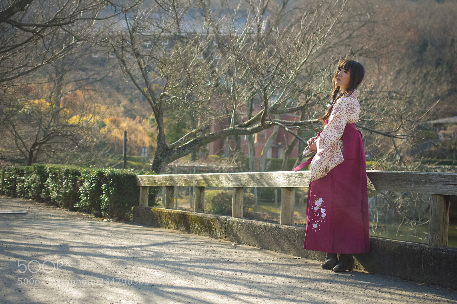 Pentax K-3 sample photo. 【詩趣の風.10】 photography
