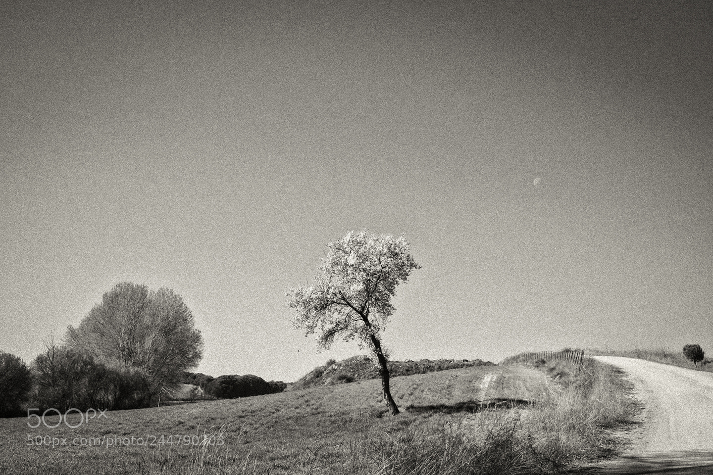 Fujifilm X-T1 sample photo. Tierras de villaescusa photography