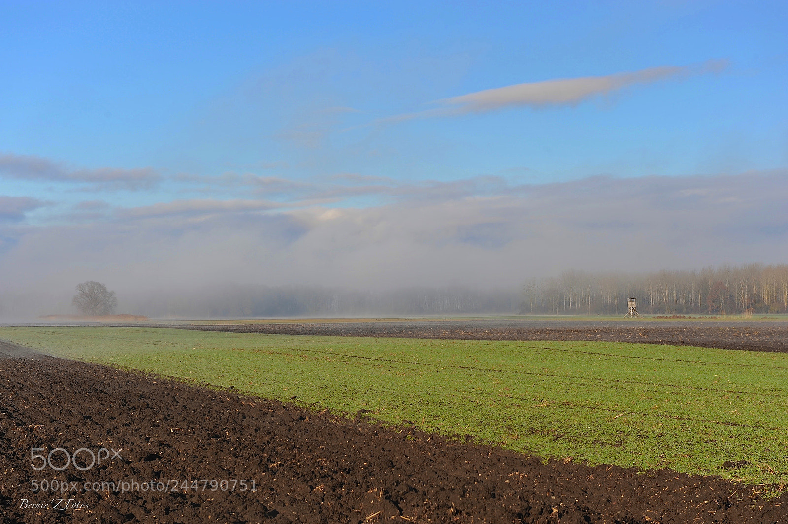 Nikon D3 sample photo. Fog and fields photography