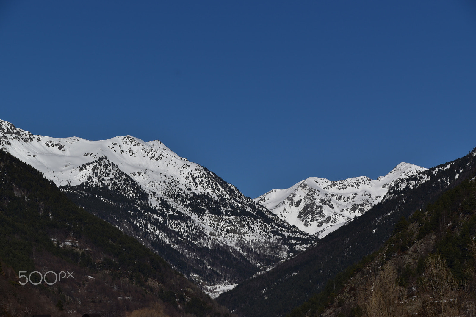 Nikon D5600 sample photo. Dsc photography