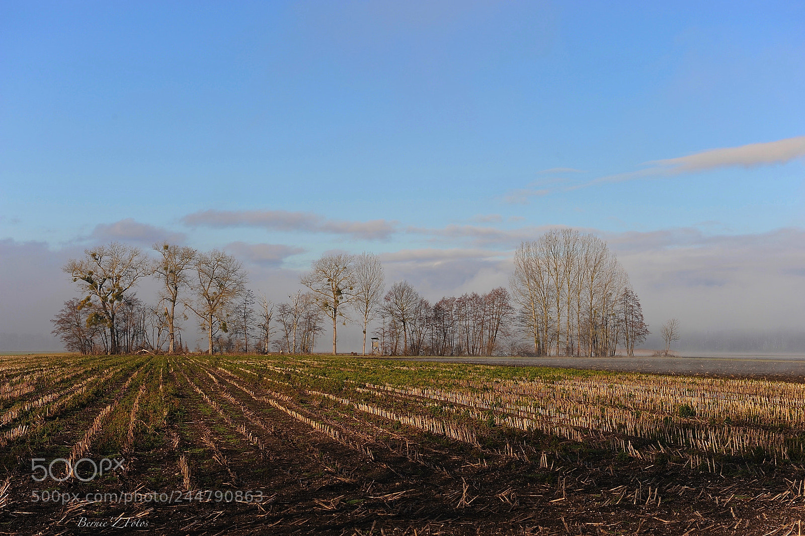 Nikon D3 sample photo. Fields in winter photography