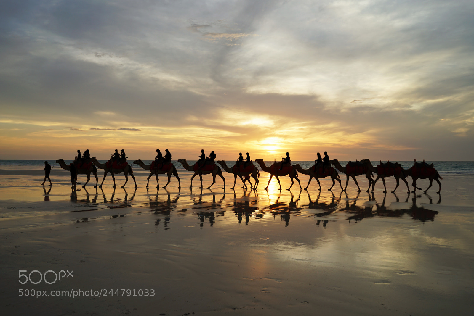 Sony a7 II sample photo. Camel ride photography