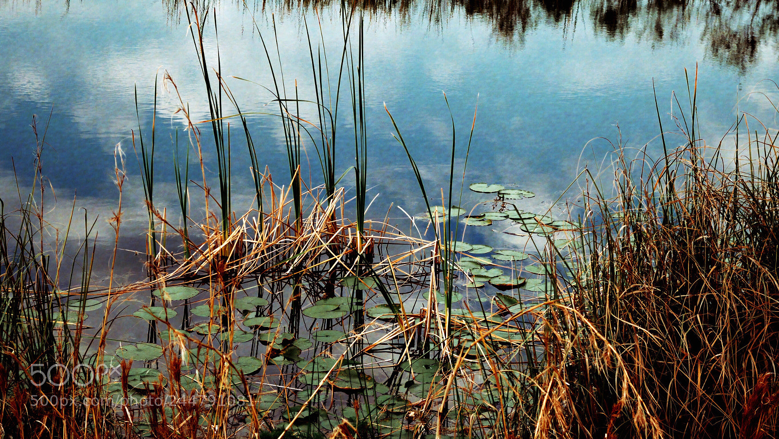 Sony Cyber-shot DSC-RX100 II sample photo. Tranquil place photography