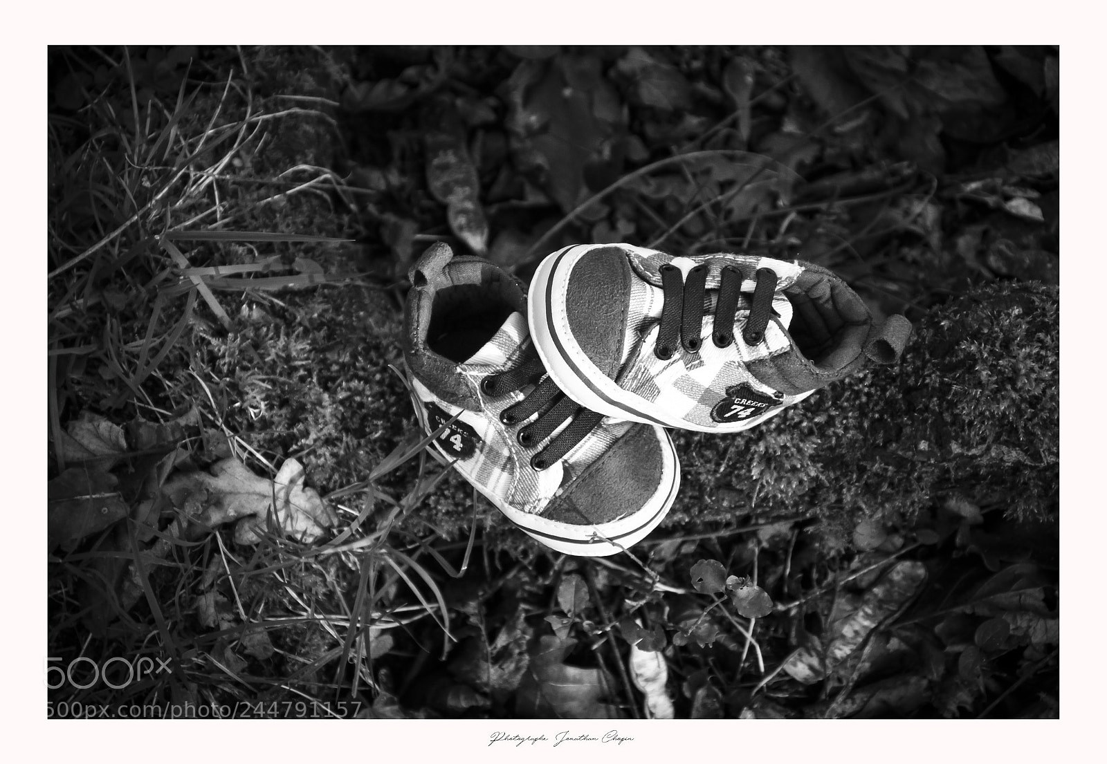 Canon EOS 50D sample photo. Img photography