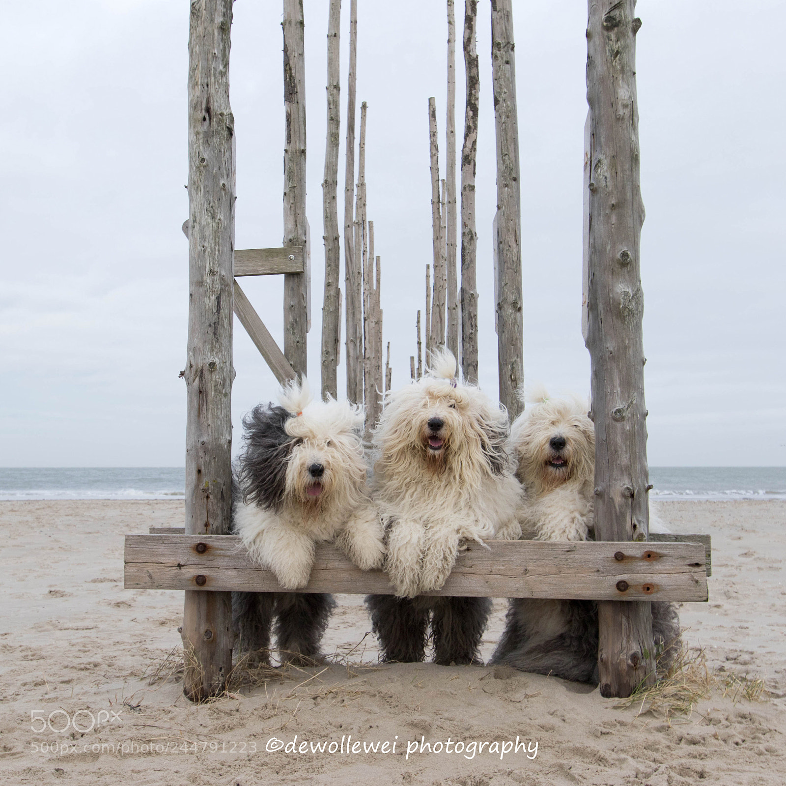 Canon EOS 7D Mark II sample photo. Beach  girls photography