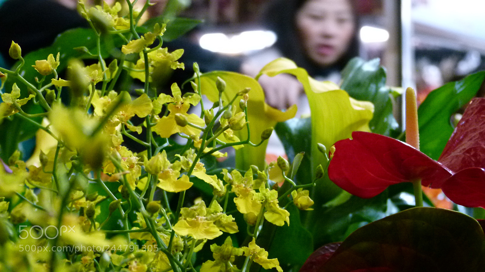 Leica V-Lux 2 sample photo. Untitled photography