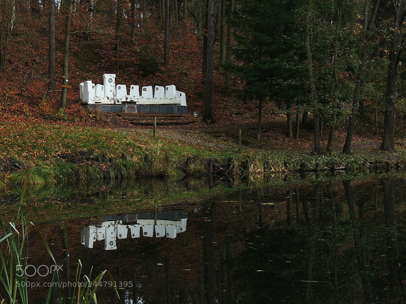 Nikon Coolpix P510 sample photo. Reflection photography