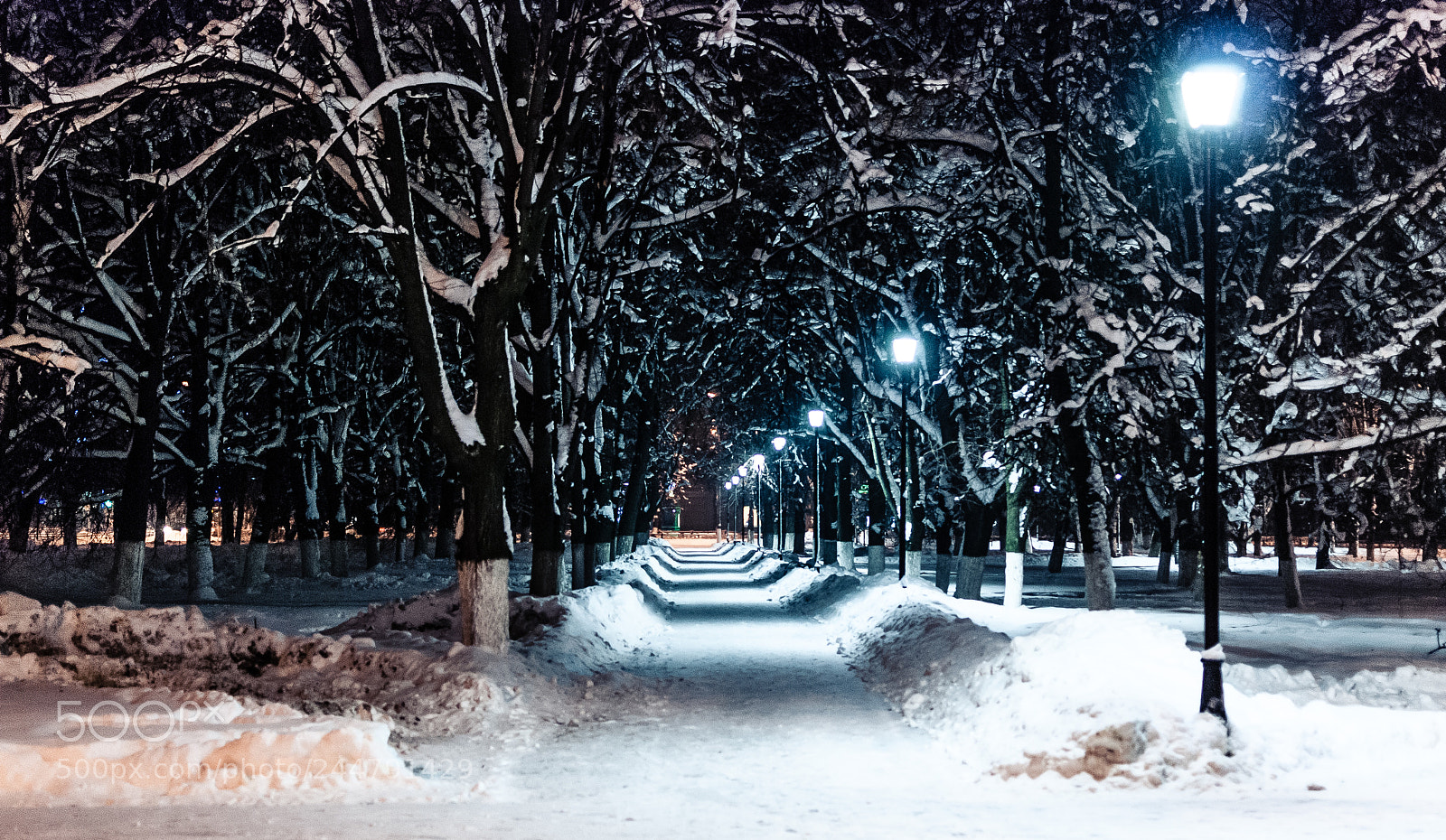 Nikon D80 sample photo. Winter photography