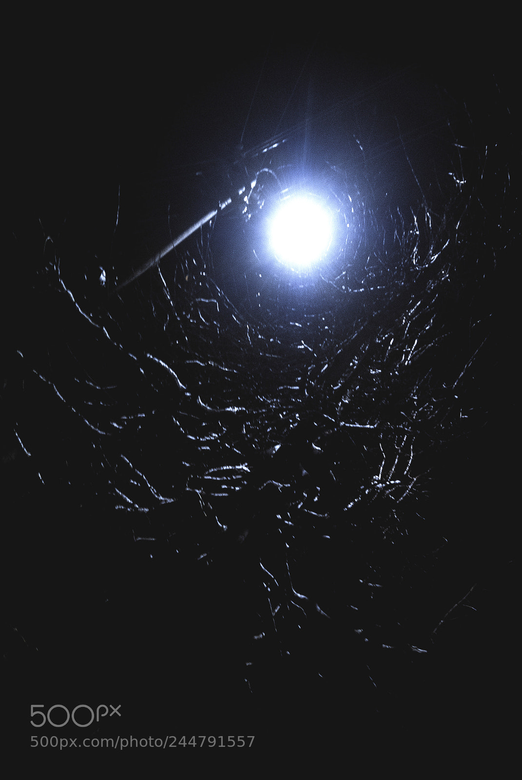 Nikon D3000 sample photo. Virgil is coming photography