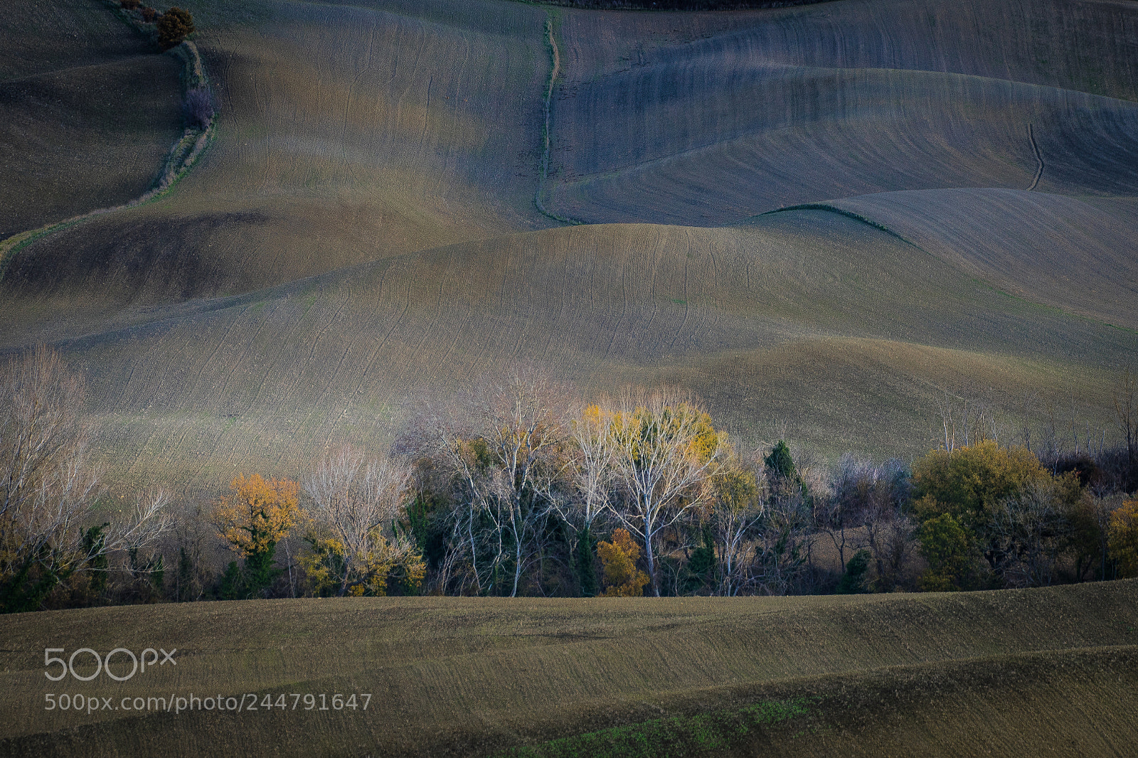 Sony a7R sample photo. Autumn light photography