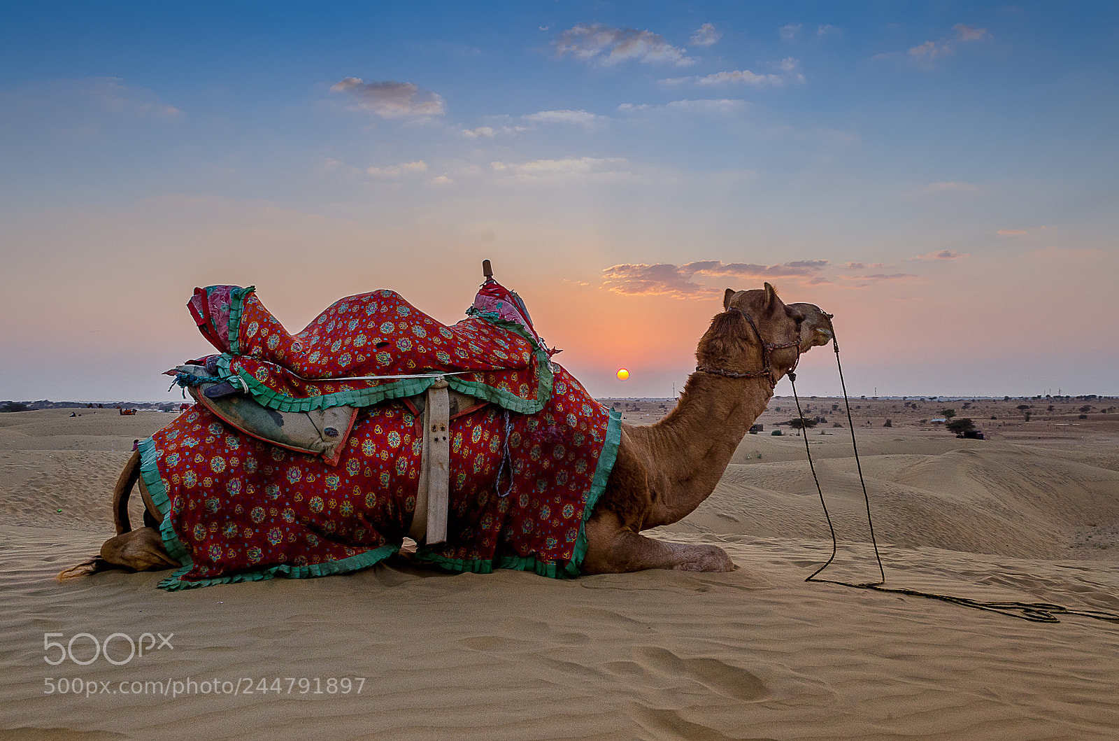 Nikon D5100 sample photo. Tribute to jaisalmer photography