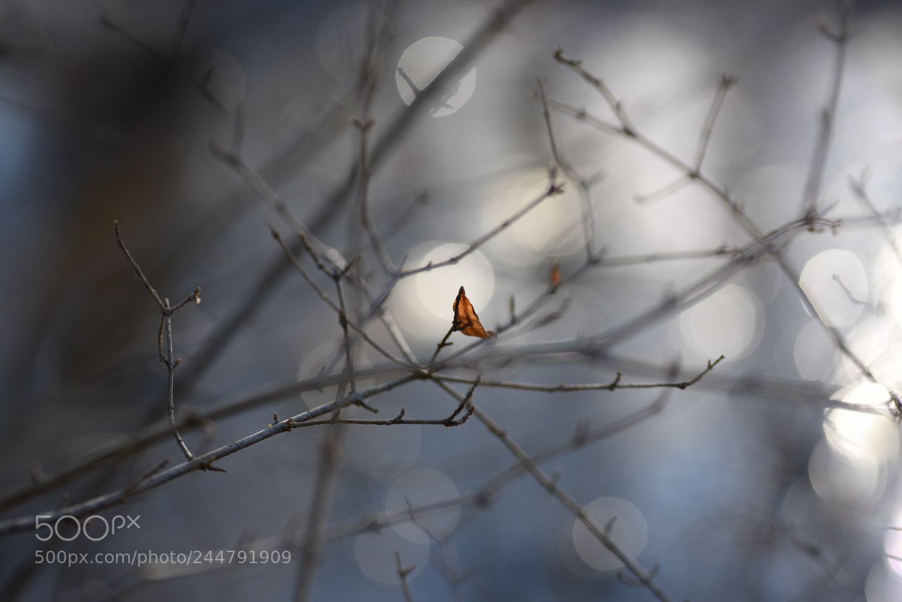Nikon D810 sample photo. Out standing photography