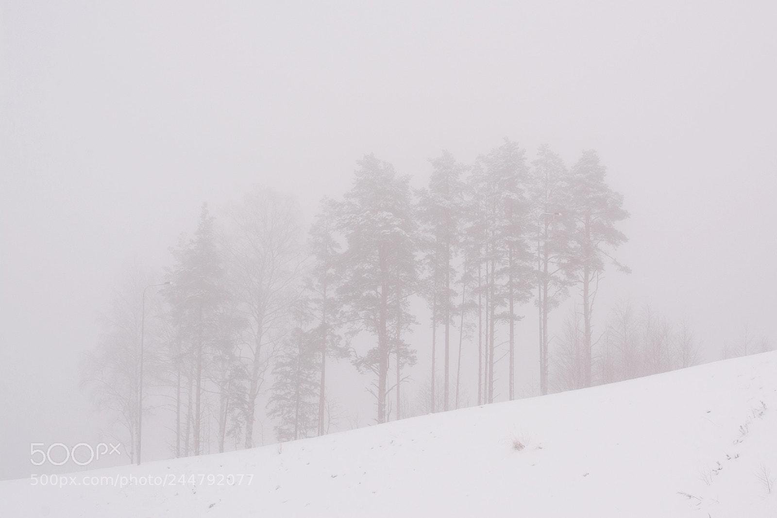 Nikon D7100 sample photo. Mist photography