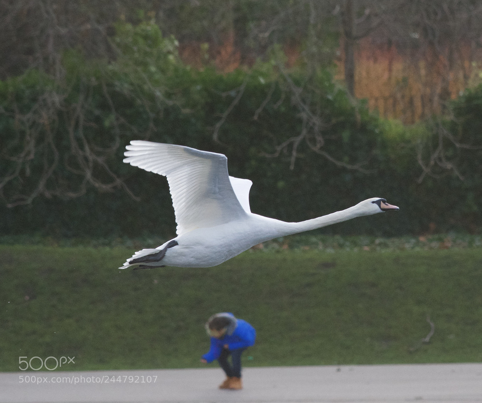 Nikon D500 sample photo. Watch out! photography