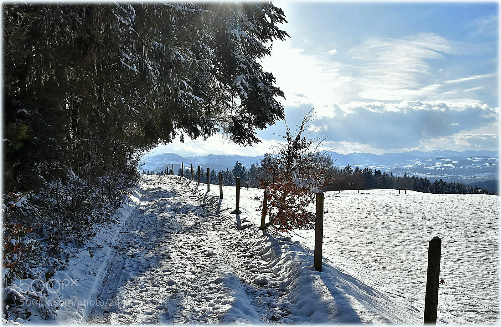 Nikon D7200 sample photo. "winterwalk,;" photography