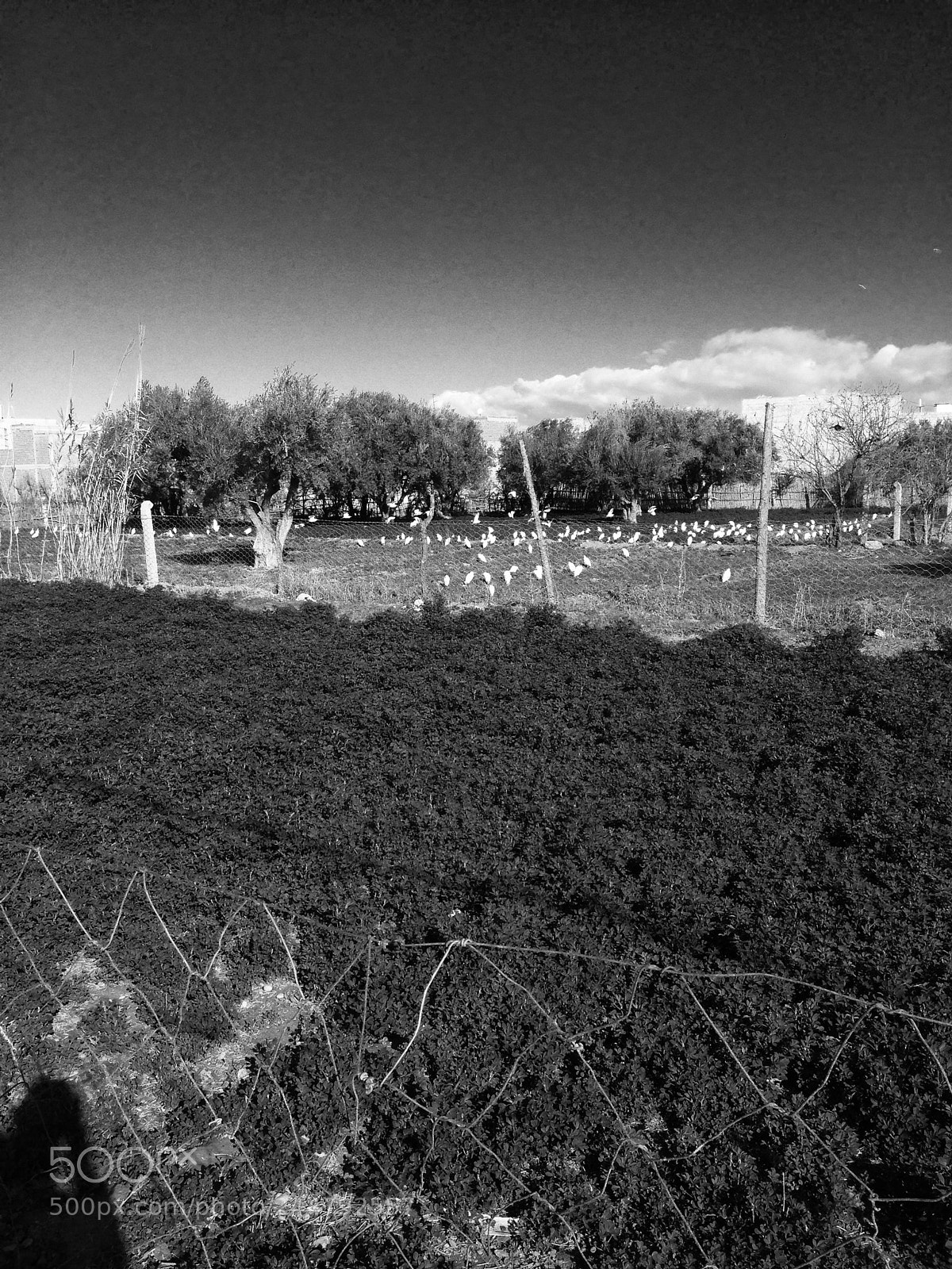 Apple iPhone 5 sample photo. Untitled photography