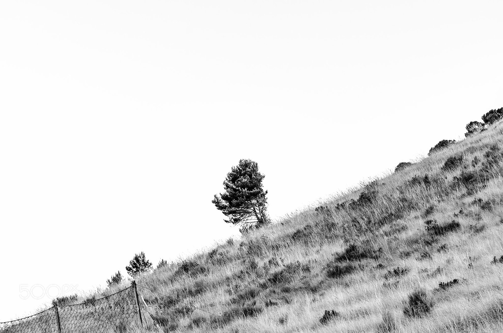 Nikon D5100 sample photo. Untitled photography