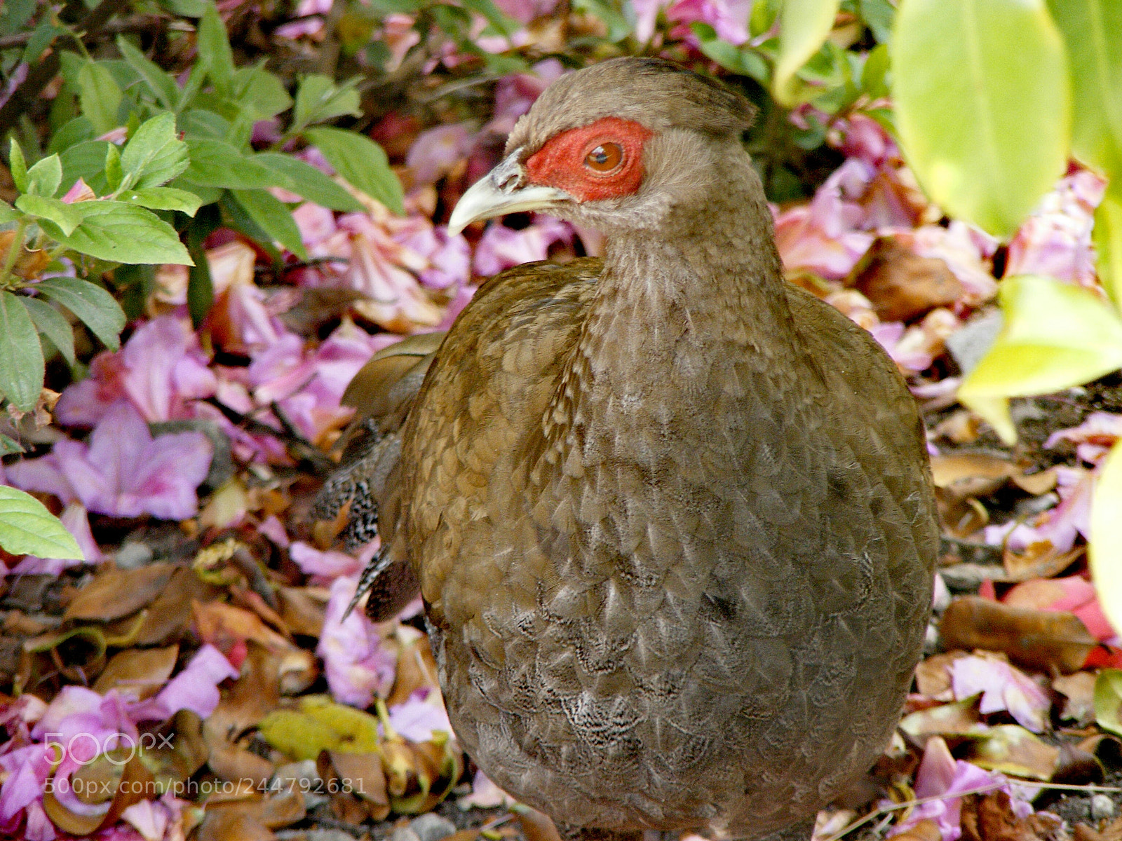 Fujifilm FinePix S5700 S700 sample photo. Animals photography