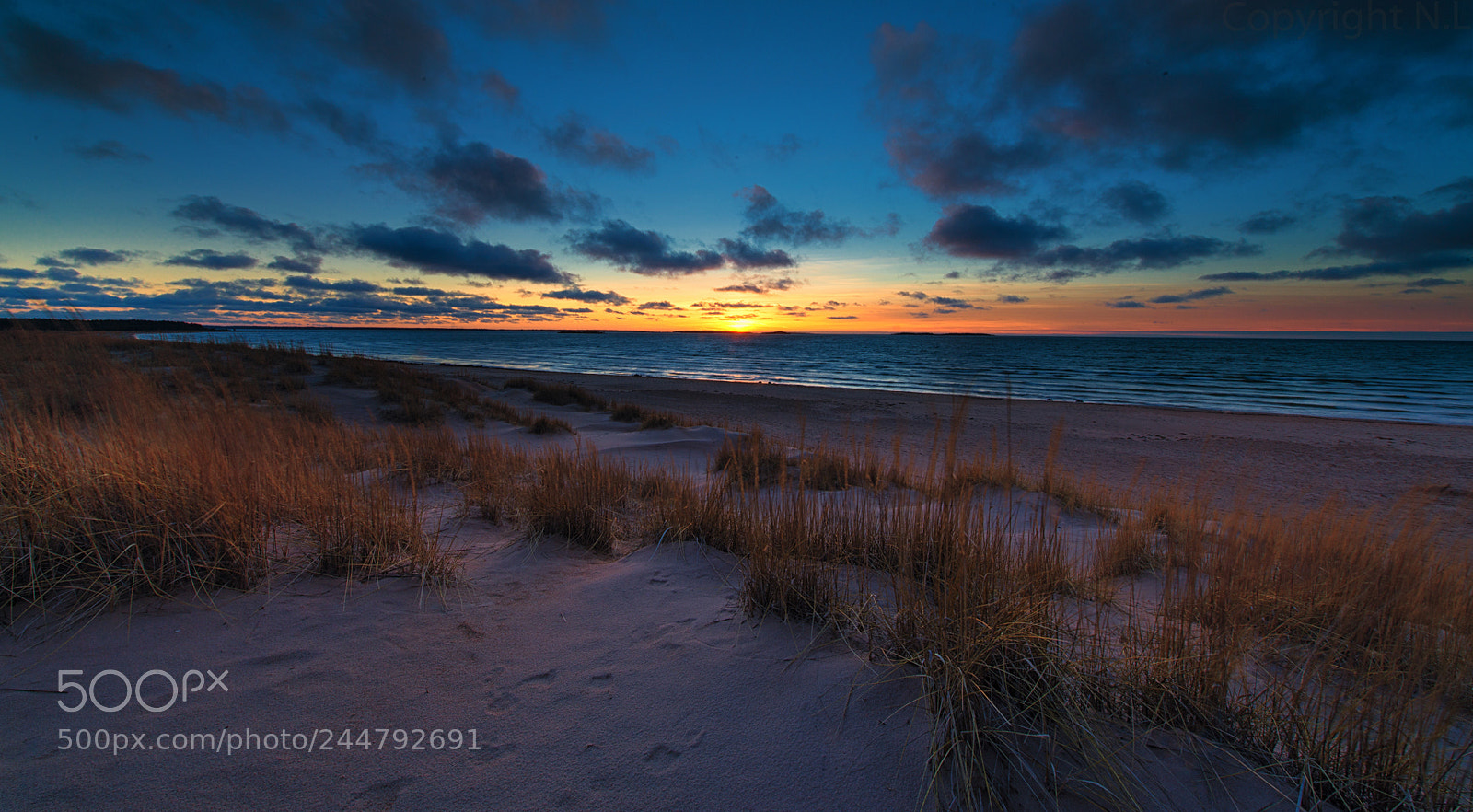 Nikon D800 sample photo. December sunset photography
