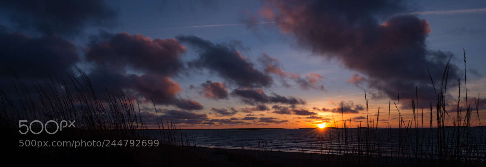 Nikon D800 sample photo. December sunset photography