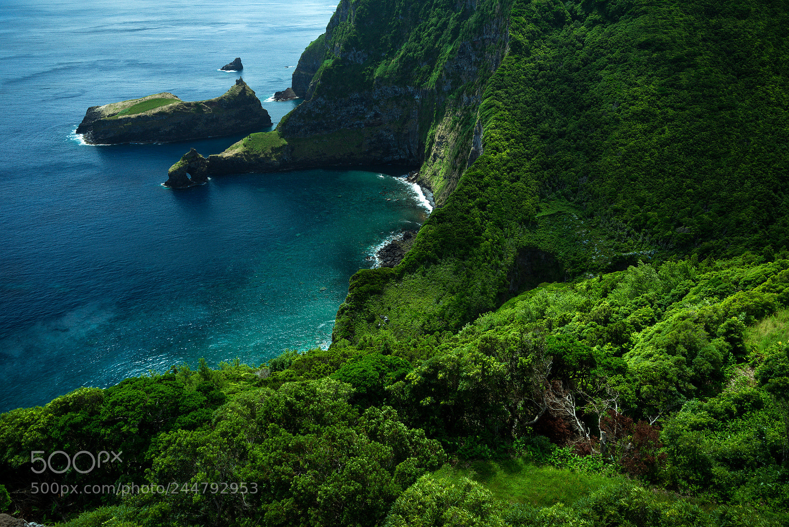 Sony a7R sample photo. Blue meets green photography