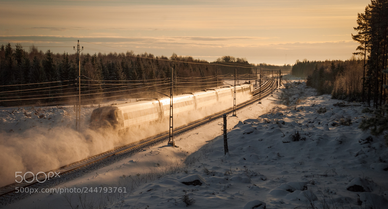 Nikon D80 sample photo. X 2000 near uppsala, sweden photography