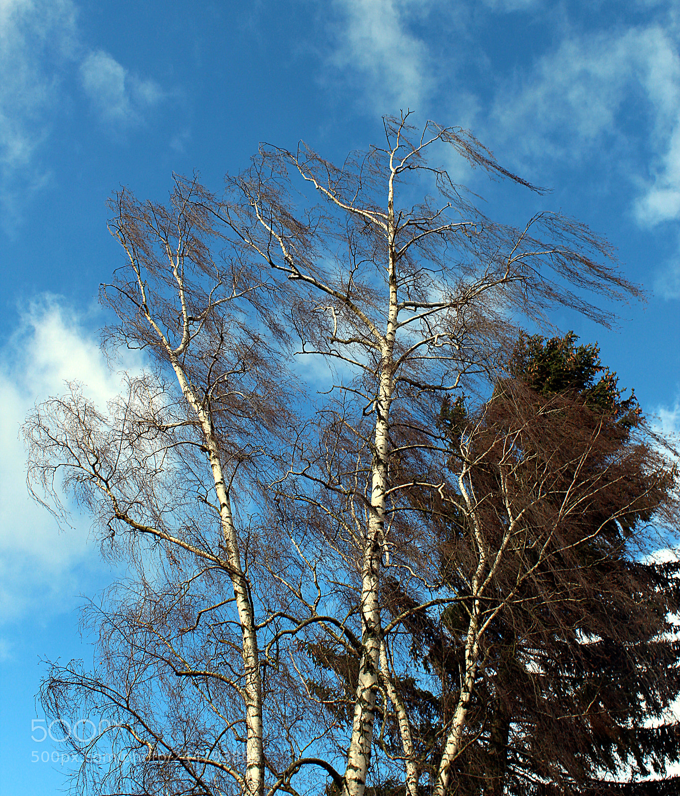 Canon EF-S 18-55mm F3.5-5.6 III sample photo. Looking up when stormfront photography