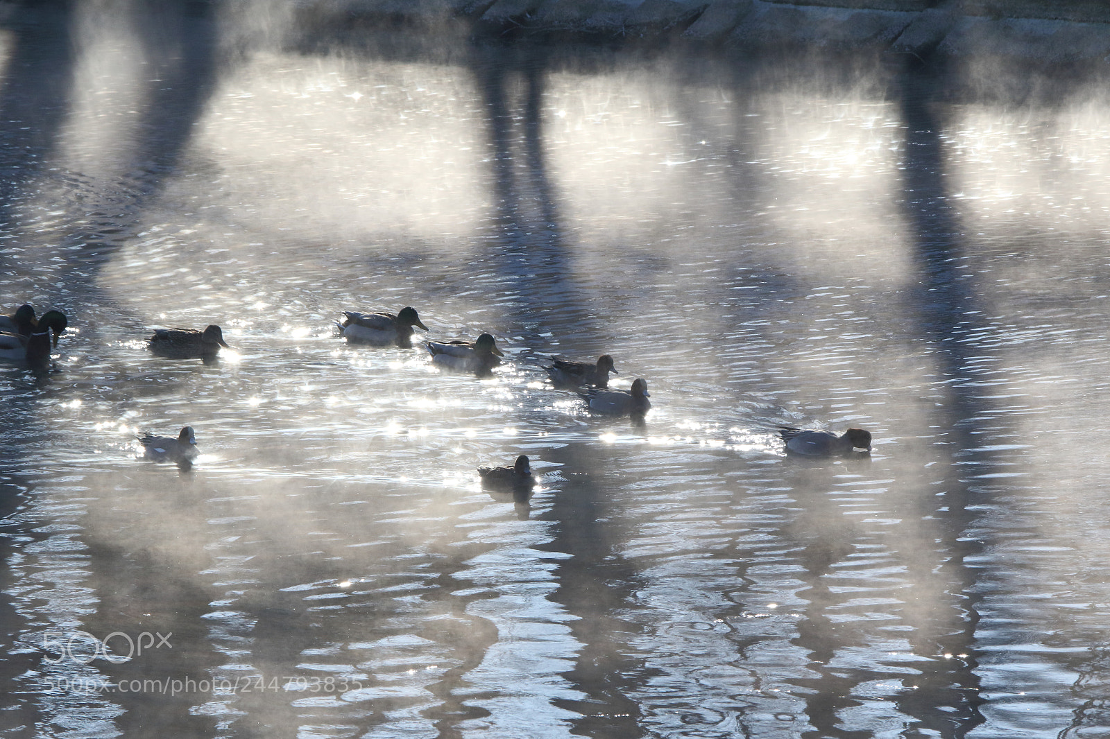 Canon EOS 7D Mark II sample photo. Winter river photography