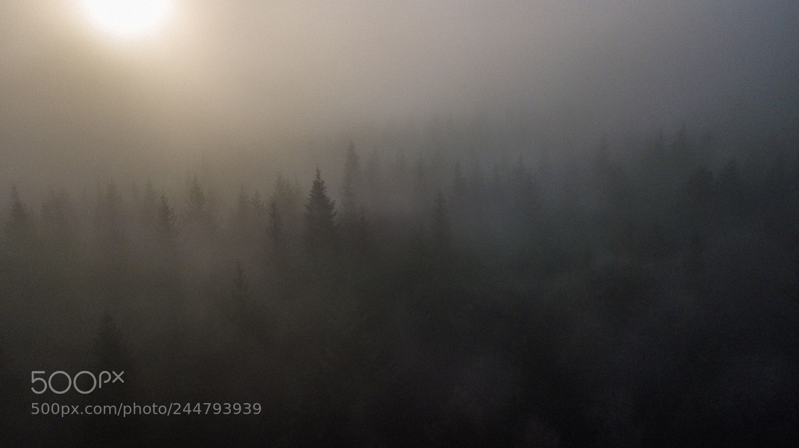 DJI FC220 sample photo. Sun seeker photography