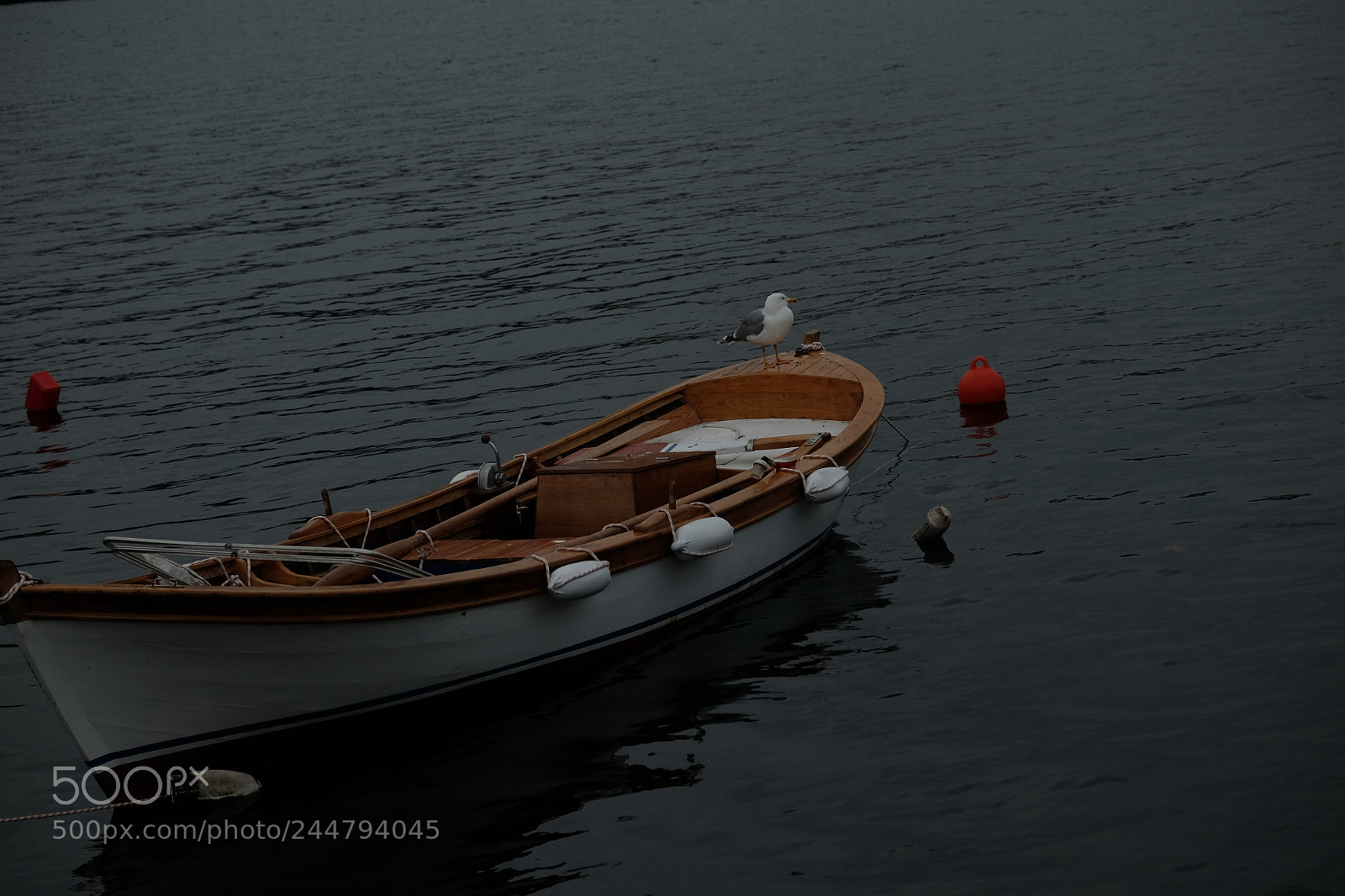 Fujifilm X-E2 sample photo. Ben kay klar i photography
