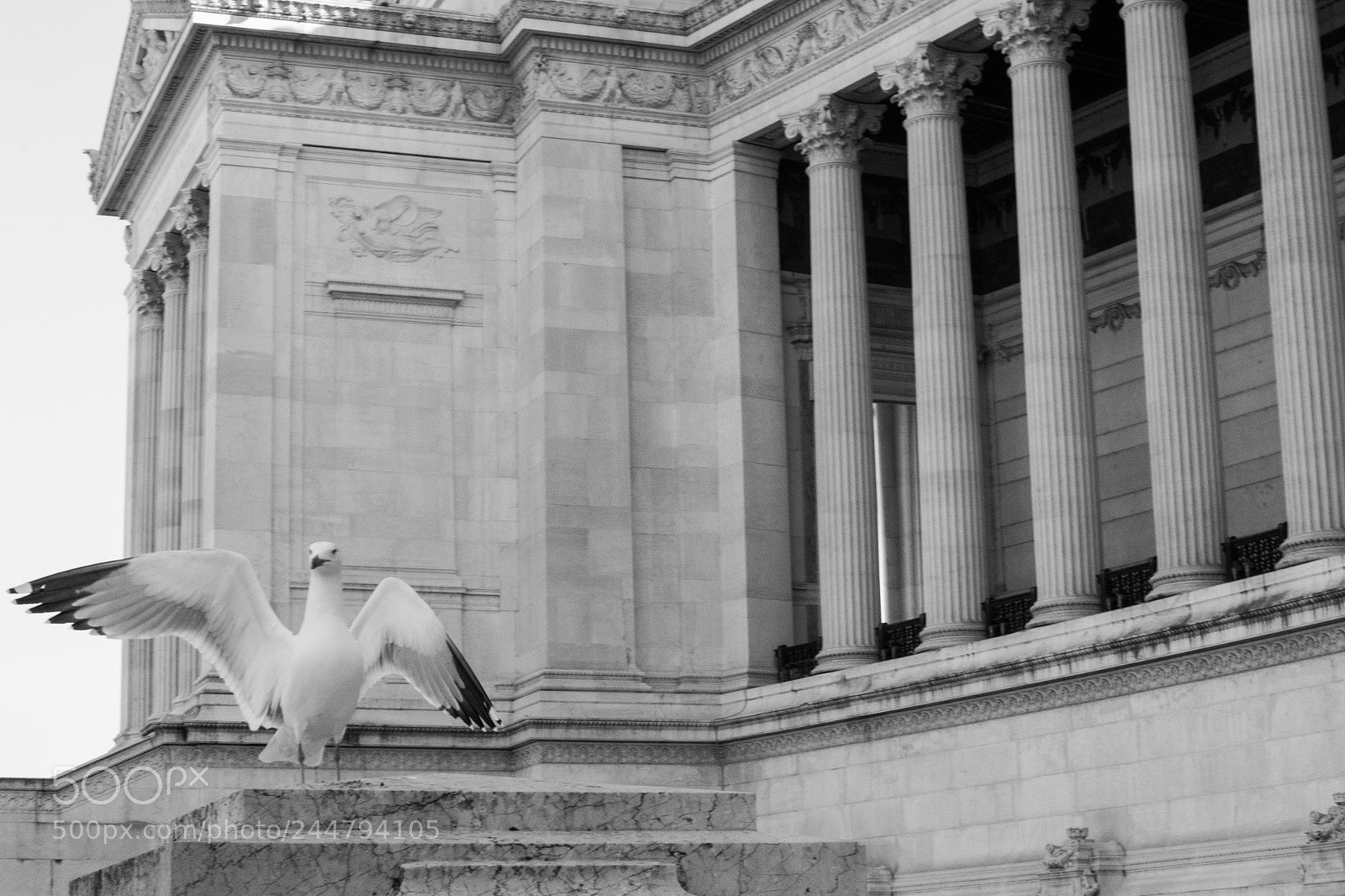 Nikon D7100 sample photo. Seagull monument photography
