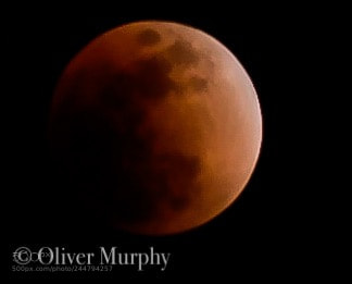 Nikon D500 sample photo. Super blue blood moon photography