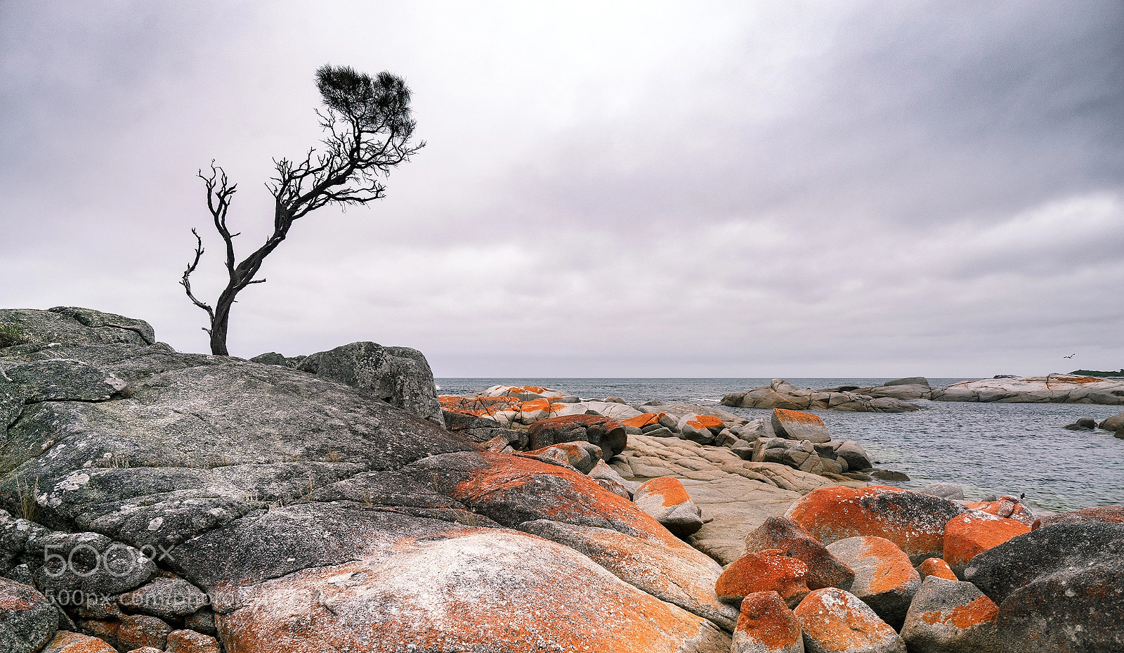 Sony a7R sample photo. Bay of fires photography
