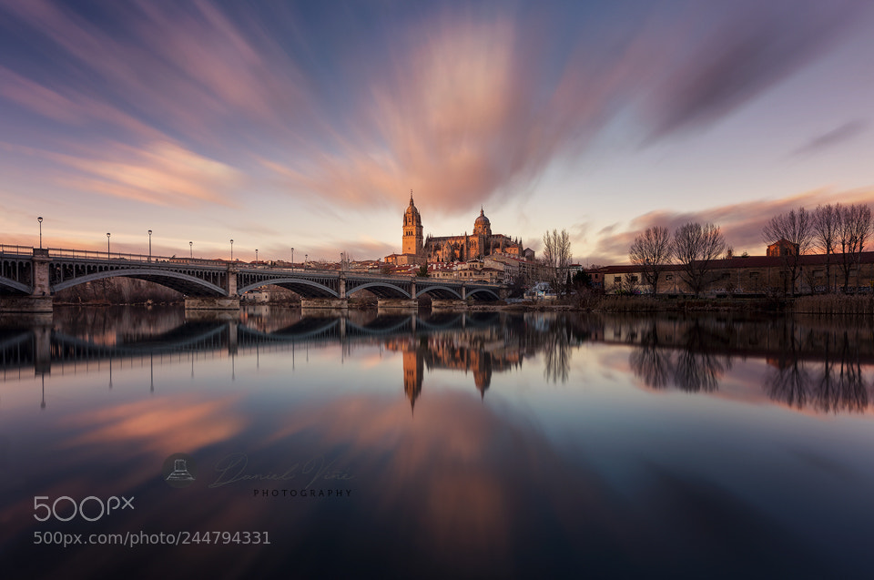 Nikon D610 sample photo. Cathedral of salamanca, castilla photography