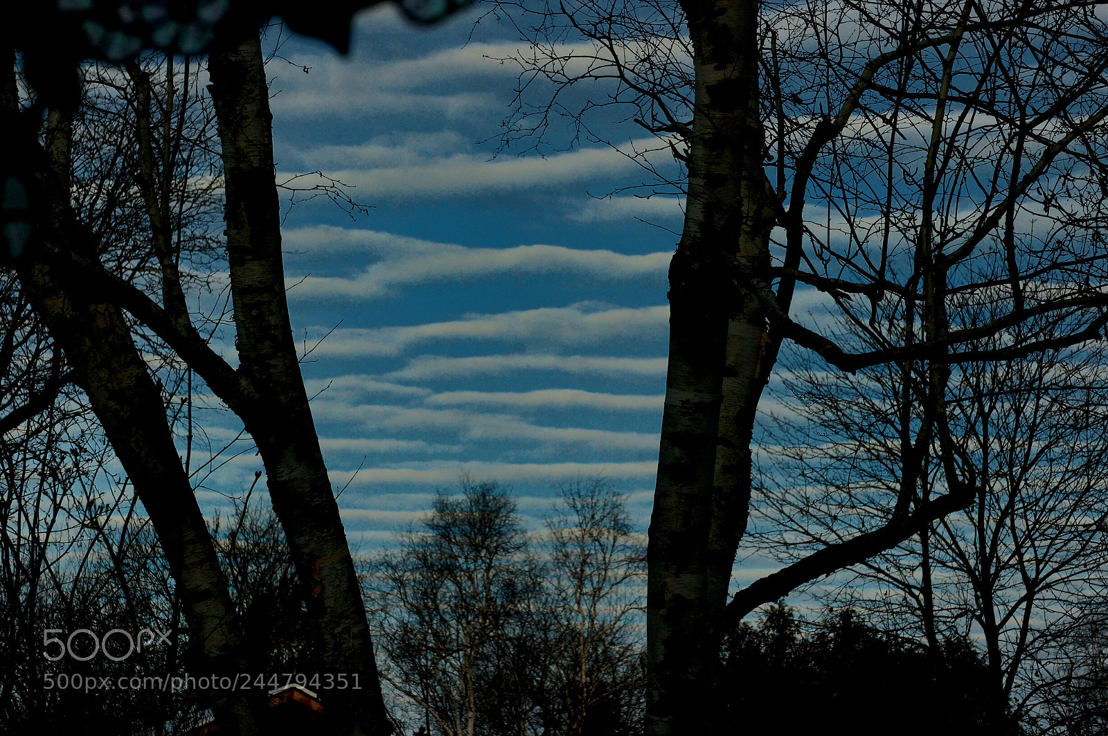 Sony Alpha NEX-6 sample photo. Blue sky 4 photography