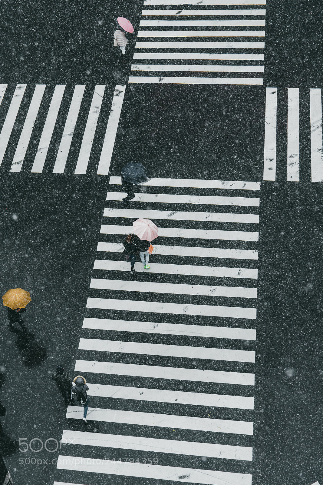 Nikon D7200 sample photo. Ginza zebra crossing in photography