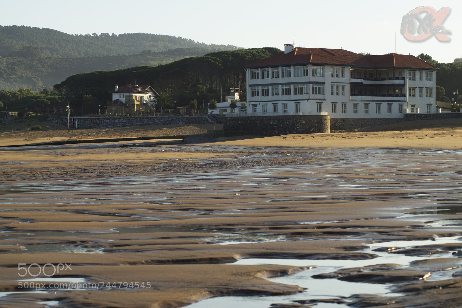 Sony SLT-A58 sample photo. Untitled photography