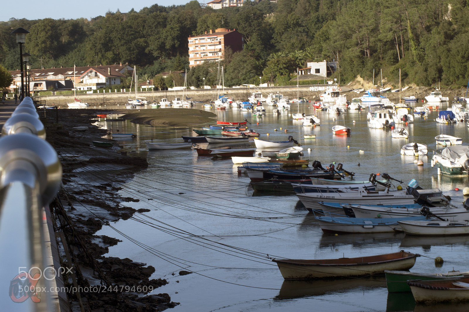 Sony SLT-A58 sample photo. Untitled photography
