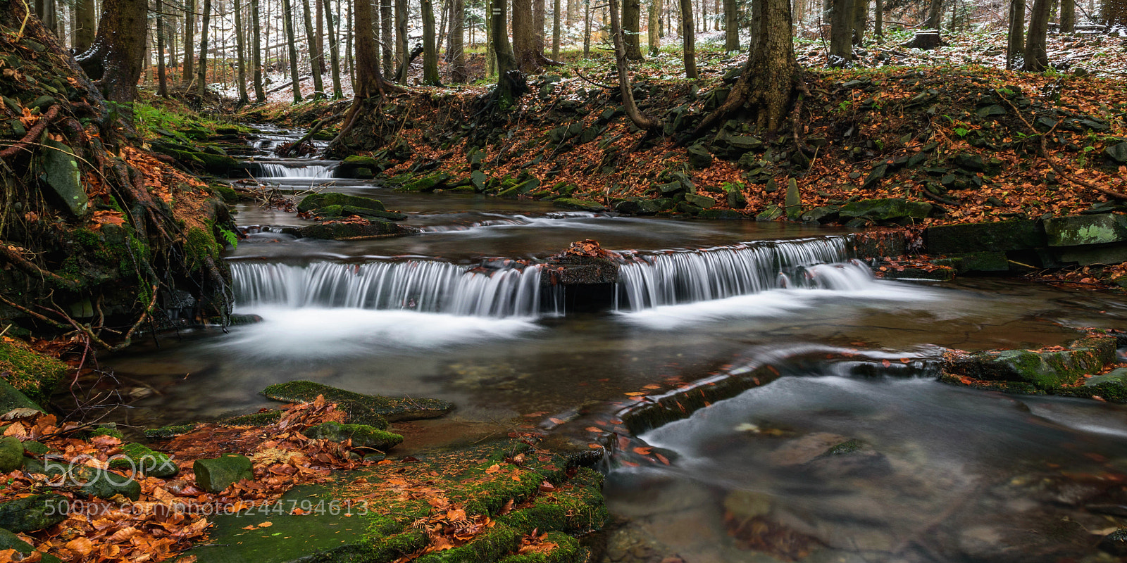 Nikon D5500 sample photo. Bystrý stream photography