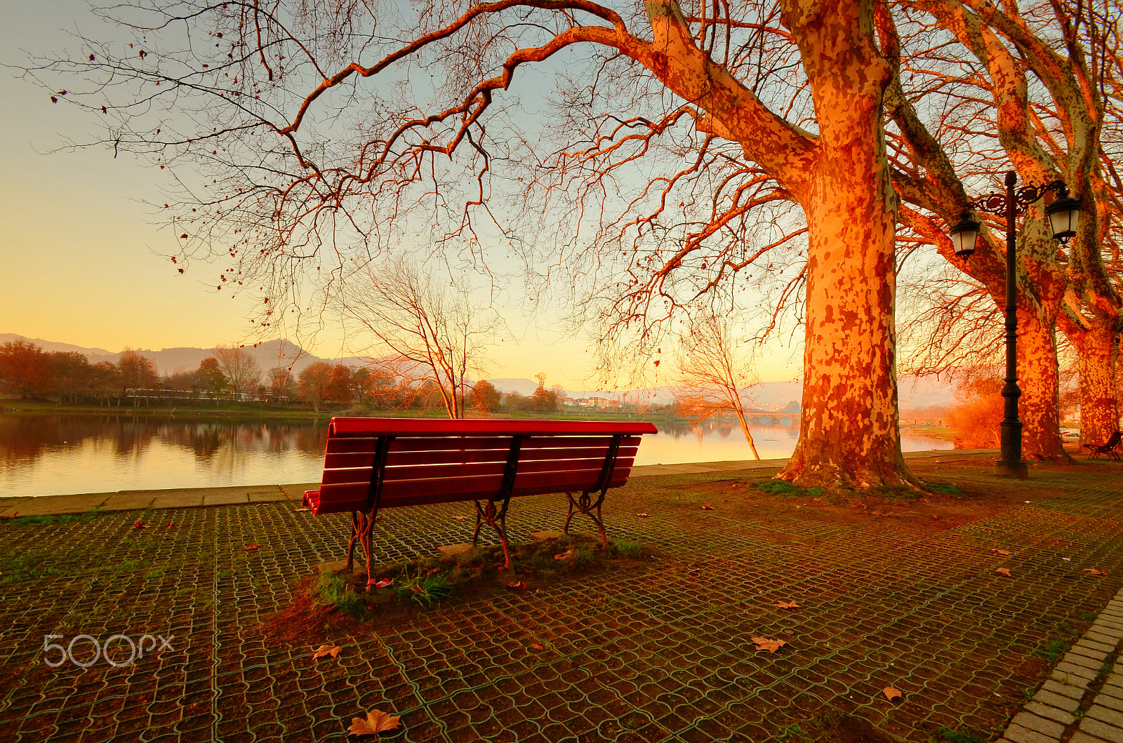 Nikon D5100 sample photo. New horizont photography