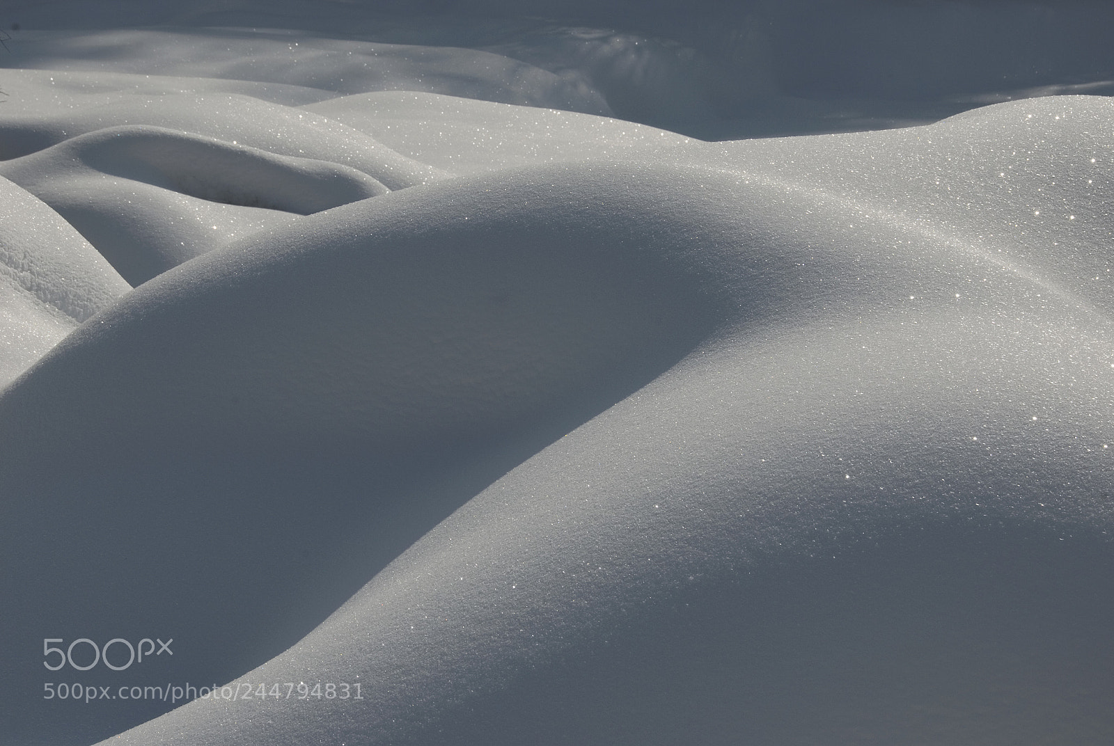 Nikon D80 sample photo. Curves in the snow photography