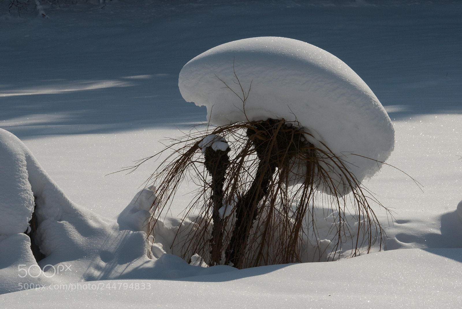 Nikon D80 sample photo. Snow hat photography